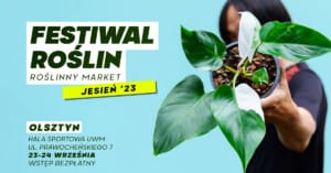 Festiwal Roślin – Targi roślin w Olsztynie Festiwal Roślin - Targi roślin w Olsztynie