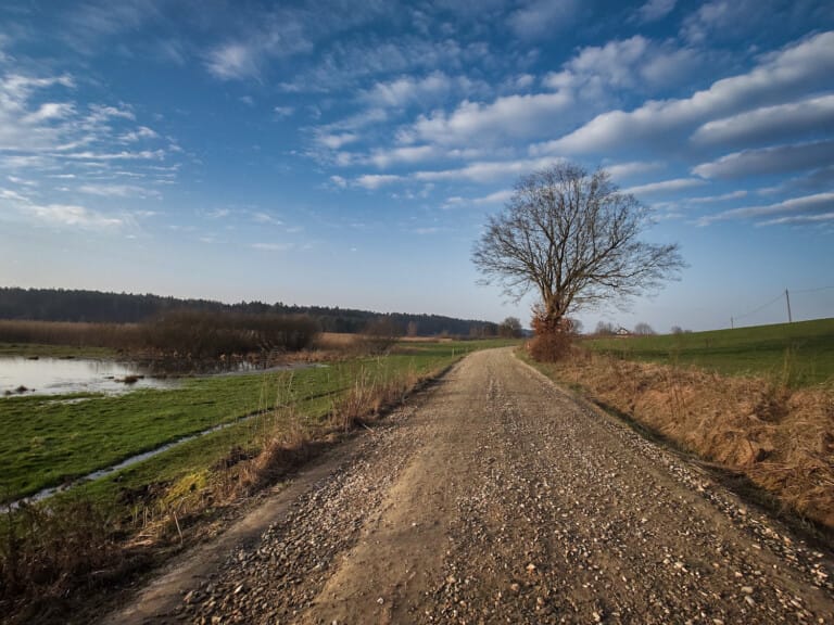 Przymrozki i lokalne opady śniegu. Zobacz najnowszą prognozę pogody