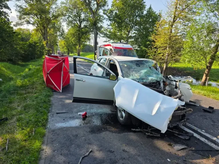 Śmiertelny wypadek na drodze wojewódzkiej nr 513. Nie żyje 62-letni kierowca Śmiertelny wypadek na drodze wojewódzkiej nr 513. Nie żyje 62-letni kierowca