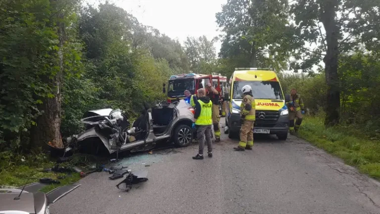 Tragiczny wypadek na trasie Górowo Iławeckie – Kamińsk. Wśród poszkodowanych dzieci