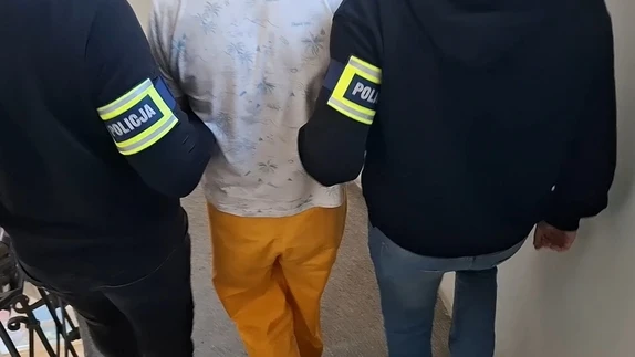 39-latek zatrzymany za serię kradzieży i włamań do samochodów