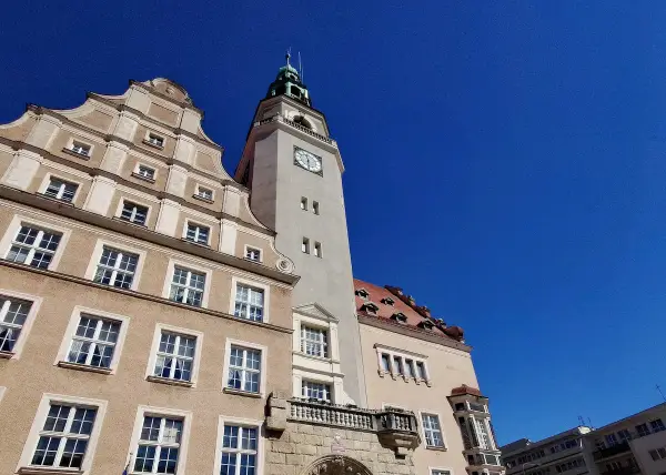 ​Kto pokieruje Olsztyńskim Mieniem Miejskim? Ruszył nabór na fotel prezesa