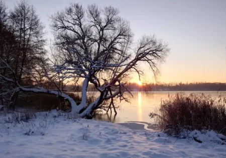 Uwaga! Nadciąga fala siarczystych mrozów. Termometry mogą wskazać nawet -25°C Uwaga! Nadciąga fala siarczystych mrozów. Termometry mogą wskazać nawet -25°C