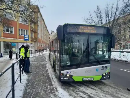 Nowy przystanek na Zatorzu już od lutego. Sprawdź listę linii
