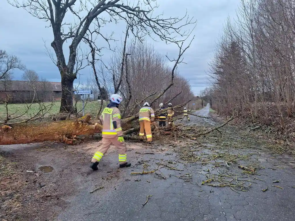 Wichury nad Warmią i Mazurami. Pracowity Poniedziałek Wielkanocny dla strażaków