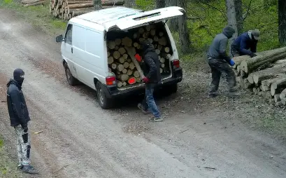 Akcja jak z filmu. Wpadli w kominiarkach do lasu, by ukraść… drewno!