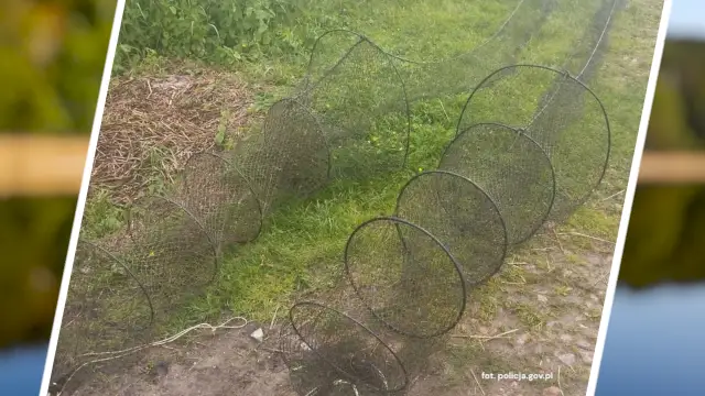 Węgorze, leszcze i… 2 lata odsiadki. Służby bezlitosne dla kłusownika